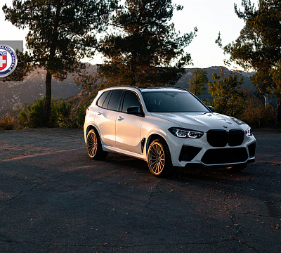 Фото дисков HRE P103SC на BMW X5/X5 M (G05/G18/F95)