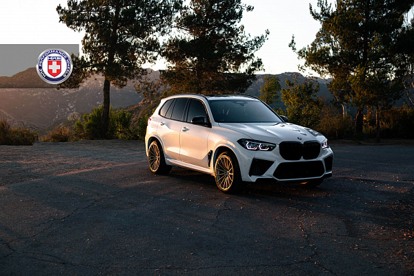 Фото дисков HRE P103SC Сатиновое золото на BMW X5/X5 M (G05/G18/F95)