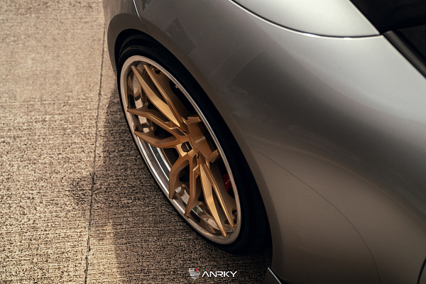 Фото дисков Anrky AN31 Сатиновое золото на Porsche 911 VIII