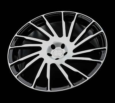 Avant Garde AGL41