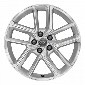 Кованые диски Audi 5 Double Spoke v1