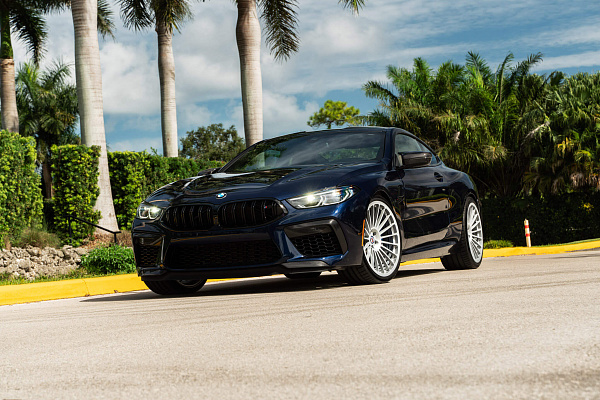 Фото дисков HRE 309M Серебро на BMW 8/M8