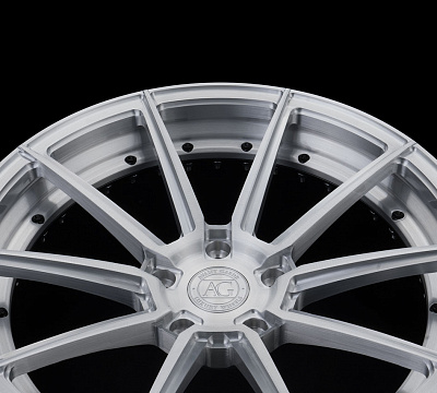 Avant Garde AGL31