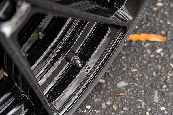 Фото дисков Anrky AN28 Черный глянец на Tesla Model S