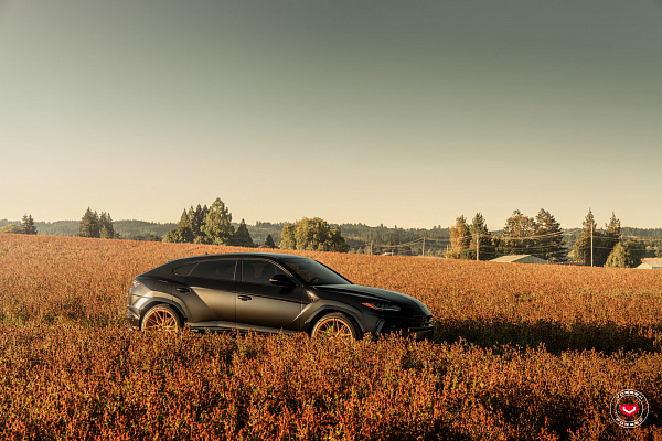 Фото дисков Vossen EVO-5 Глянцевое золото на Lamborghini Urus