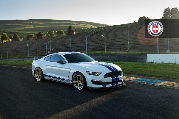 Фото дисков HRE 305 Сатиновое золото на Ford Mustang VI