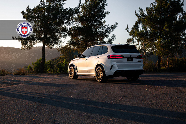 Фото дисков HRE P103SC Сатиновое золото на BMW X5/X5 M (G05/G18/F95)