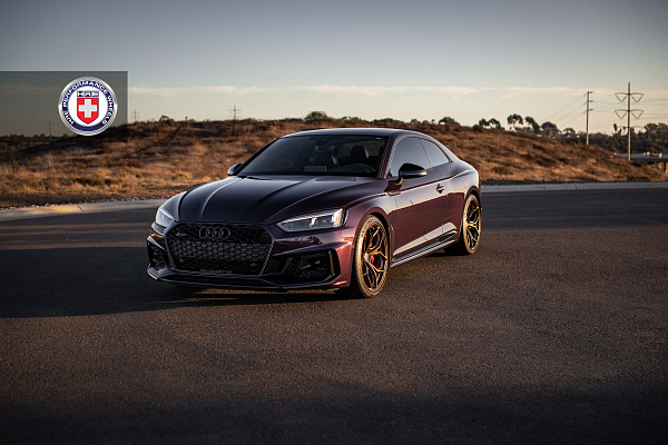 Фото дисков HRE P111SC Глянцевая бронза на Audi A/S/RS 5 (F5)