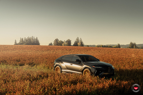 Фото дисков Vossen EVO-5 Глянцевое золото на Lamborghini Urus
