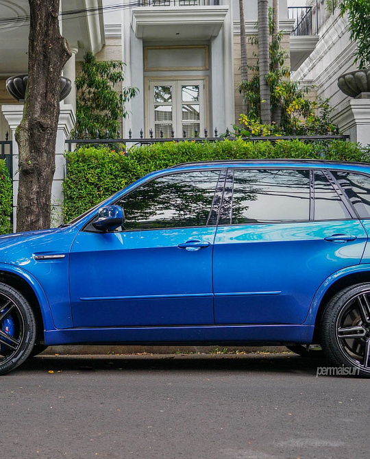 Фото дисков HF-1 Глянцевый темный лак на BMW X5/X5 M (E70)