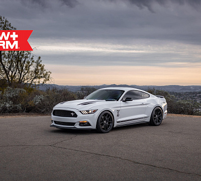 Фото дисков HRE FF21 на Ford Mustang VI