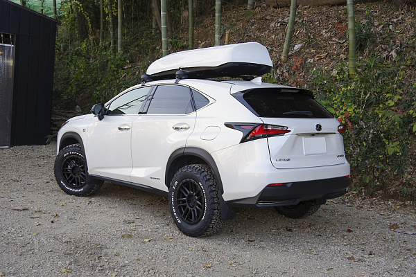 Lexus NX300h