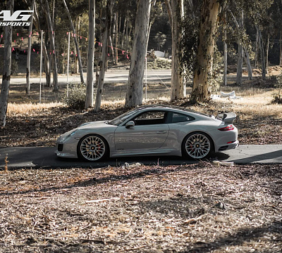 Фото дисков HRE P200 на Porsche 911 VII
