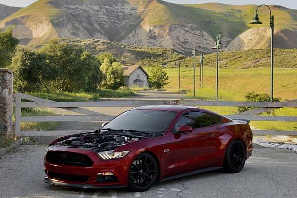 Фото дисков MRR M350 Черный глянец на Ford Mustang VI