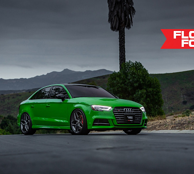 Фото дисков HRE FF11 на Audi A/S/RS 3 (8V)