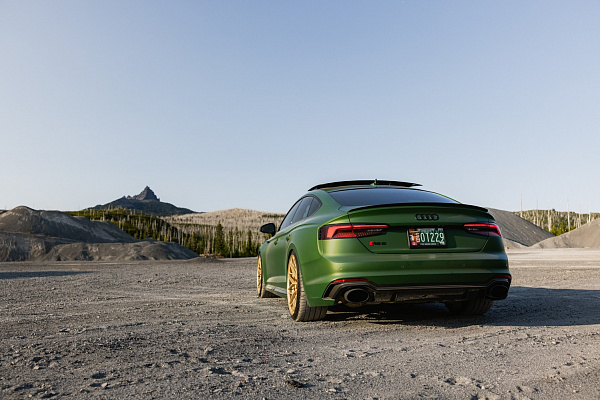 Фото дисков Brixton Forged CM6-R Сатиновая шампань на Audi A/S/RS 5 (F5)