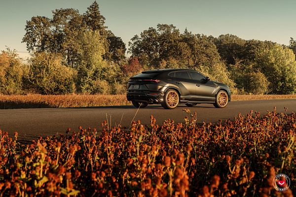 Фото дисков Vossen EVO-5 Глянцевое золото на Lamborghini Urus