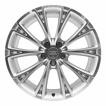 Кованые диски Audi 10 Y Spoke v1