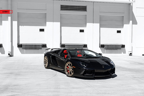 Фото дисков Anrky AN32 Сатиновая шампань на Lamborghini Aventador