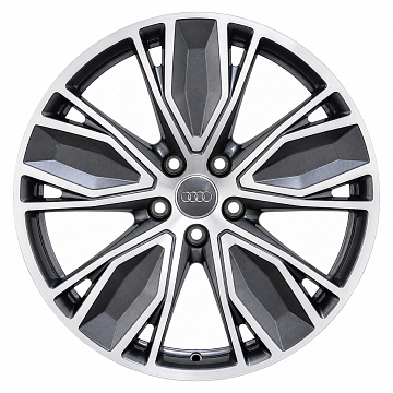 Кованые диски Audi 5 Twin V Spoke 45T