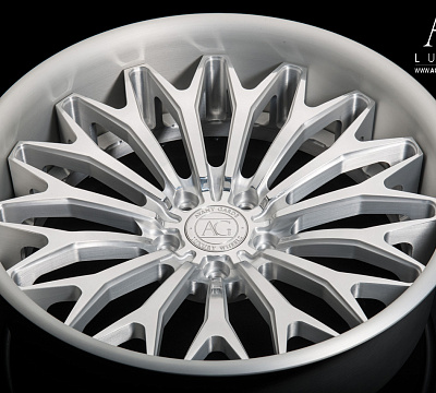 Avant Garde AGL30