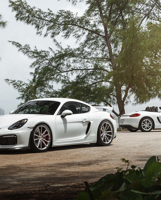 Фото дисков CG-203 Глянцевый лак на Porsche Cayman II