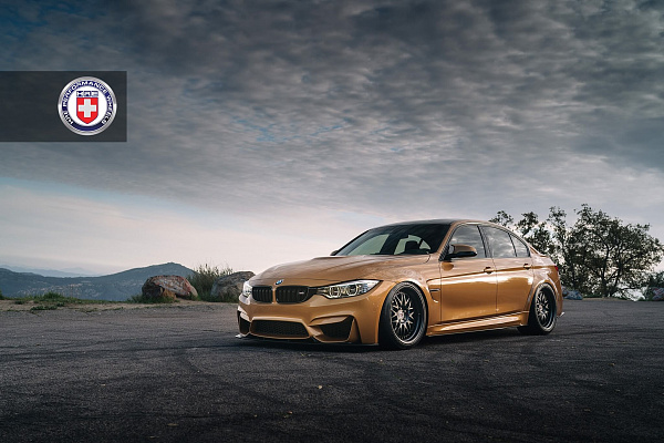 Фото дисков HRE 540 Черный сатин на BMW 4/M4 (F32/F82)
