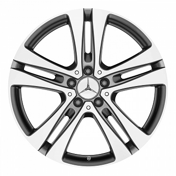 Кованые диски Mercedes-Benz 5 Twin Spoke v23
