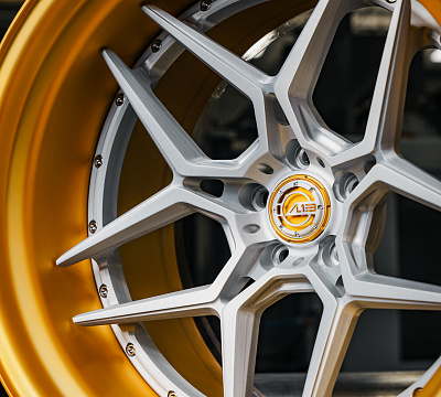AL13 D002