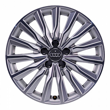 Кованые диски Audi 15 Arm Spoke v2