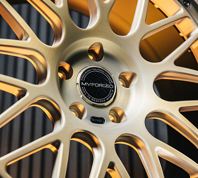MV Forged HS10