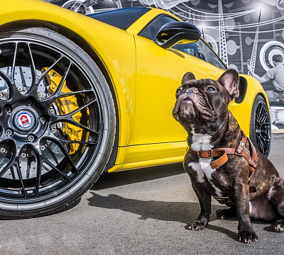 Фото дисков HRE RC100 на Porsche 911 VII