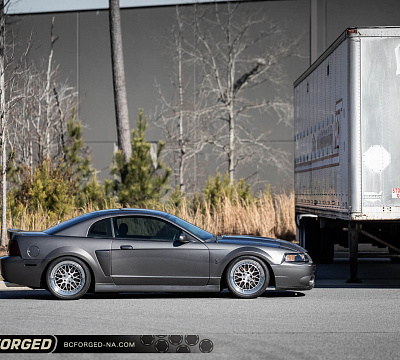 BC Forged LE81 // MLE81