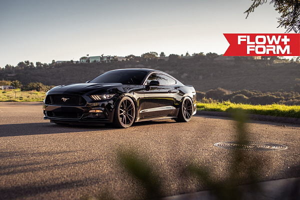 Фото дисков HRE FF04 Сатиновое темное золото на Ford Mustang VI