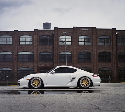 Rotiform OZT