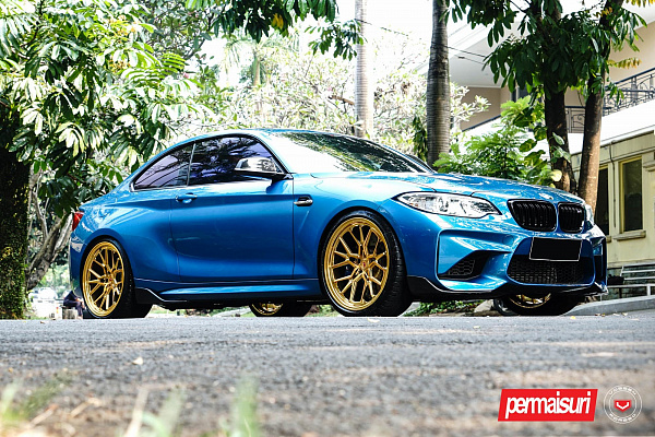 BMW M2 F87
