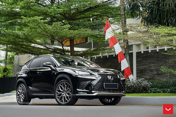 Lexus NX I