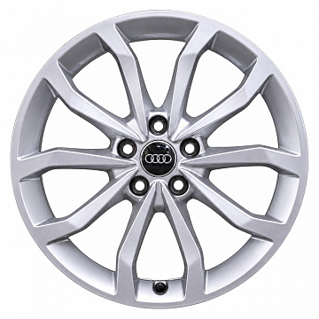 Кованые диски Audi 10 Spoke V 8W