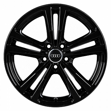 Кованые диски Audi 5 Double Spoke 8V