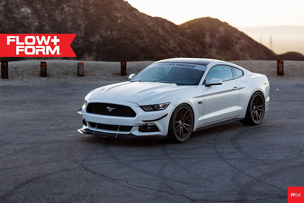 Фото дисков HRE FF04 Матовый графит на Ford Mustang VI