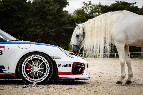 Фото дисков Bola FP3  на Porsche Cayman I