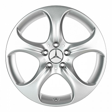 Кованые диски Mercedes-Benz 5 Spoke v3
