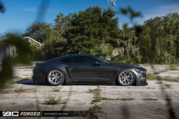 Ford Mustang GT/PP VI