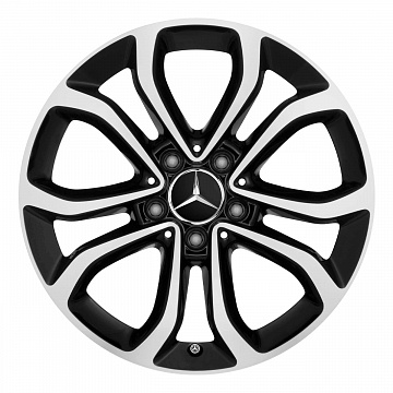 Кованые диски Mercedes-Benz 5 Twin Spoke v18