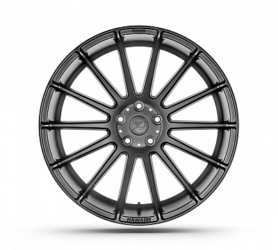 Hamman Anniversary Evo II