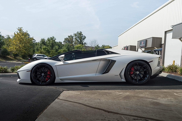 Фото дисков HRE P201 Черный глянец на Lamborghini Aventador