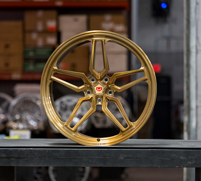 Vossen ML-X1