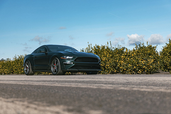 Фото дисков American Racing TTF Сатиновый графит на Ford Mustang VI