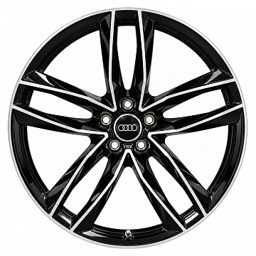 Кованые диски Audi 5 Double Spoke RS