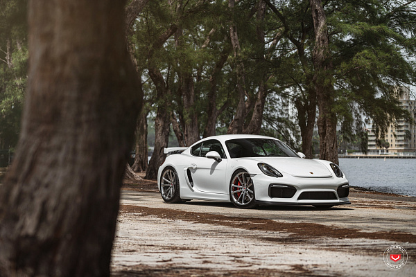 Фото дисков Vossen CG-203 Глянцевый лак на Porsche Cayman II